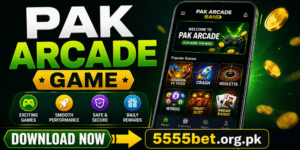 PAK ARCADE Game 2